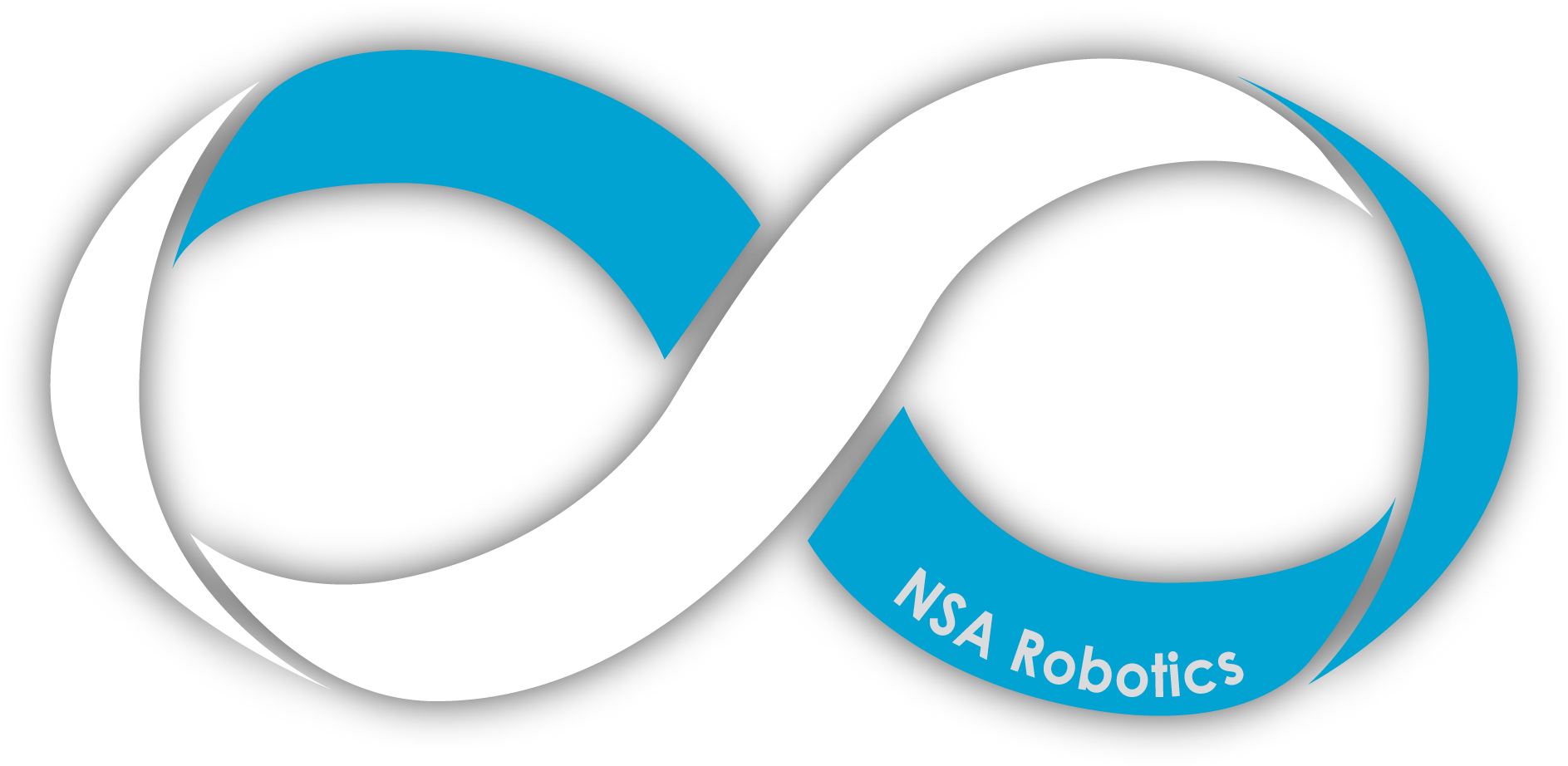 NSA logo2